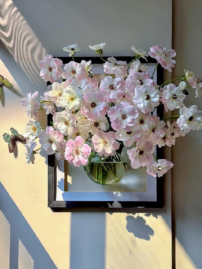 养在墙上的花💐｜家居美学​​​