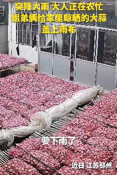 上人民日报了。近日，江苏两个小孩立大功了，他们的举动，直接让全网都竖起了大拇指