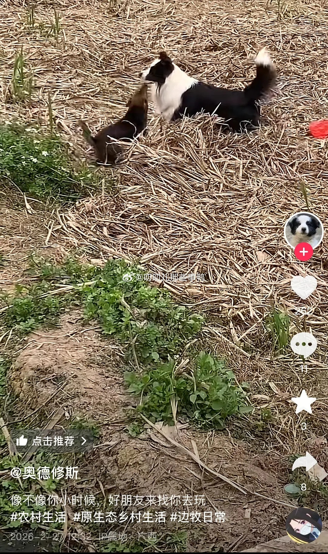 看到痛经小狗后续了～