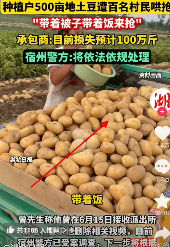 这事闹大了安徽宿州的清泉村土豆种植户曾凡昌，爆料称：自己的土豆在6月10日成