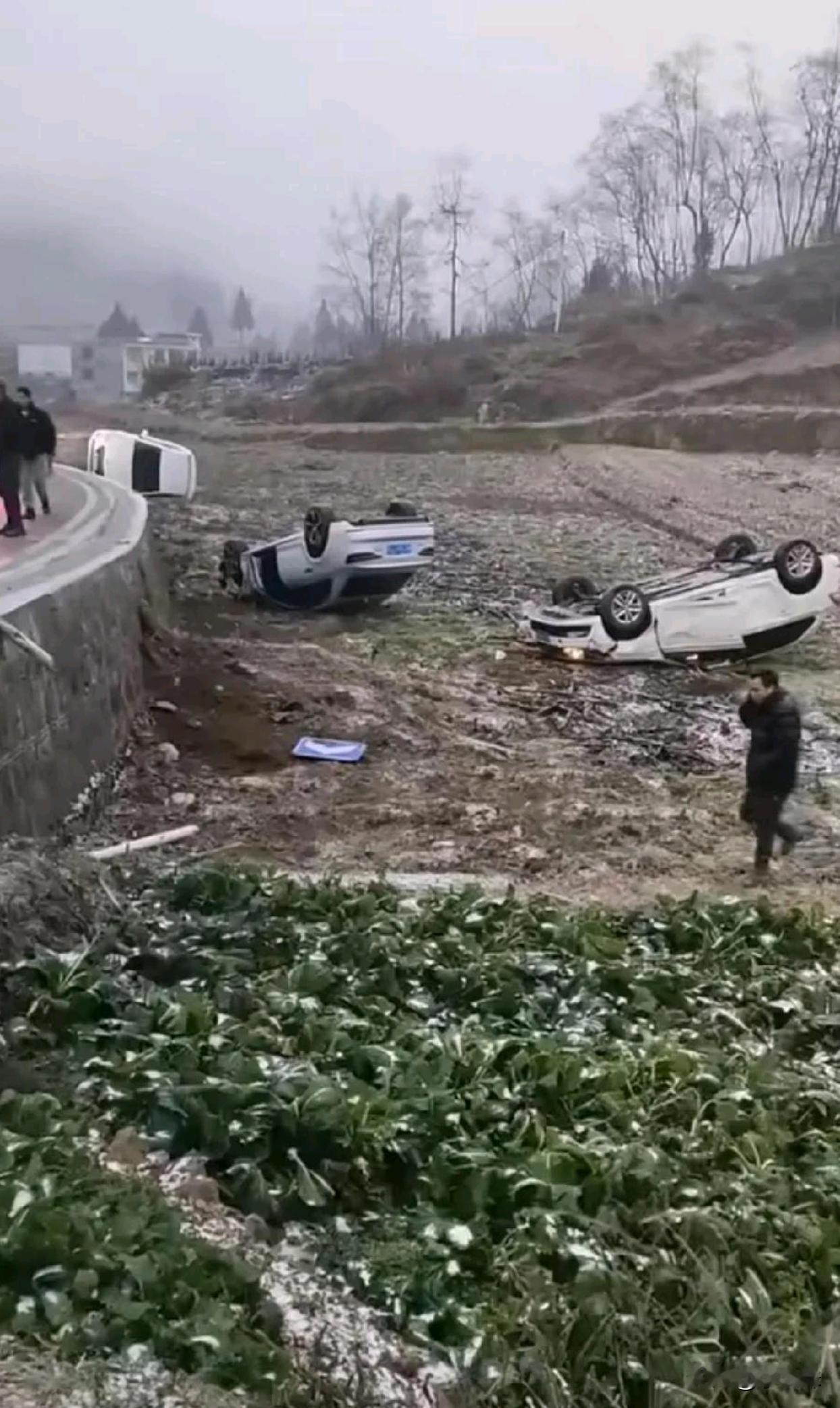 一年两箱油选手回家了