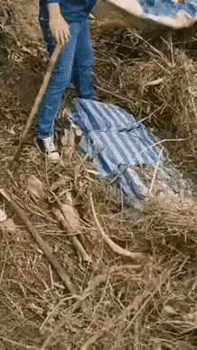 不懂就问，有这么厉害的吗？