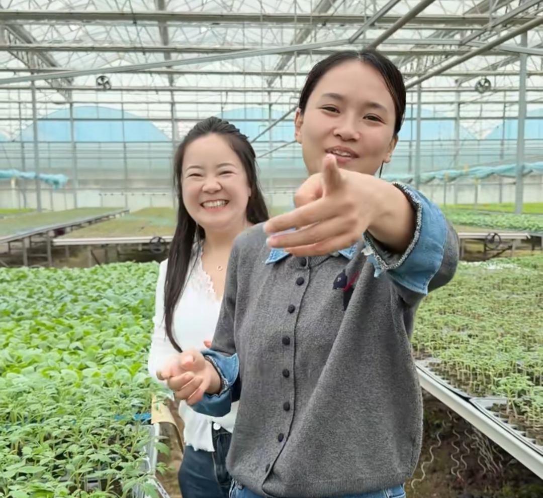 吴晓慧小二娃闷声做大事！官宣以后在番茄育苗基地拿苗种植，成品在网上销售。逆风翻盘