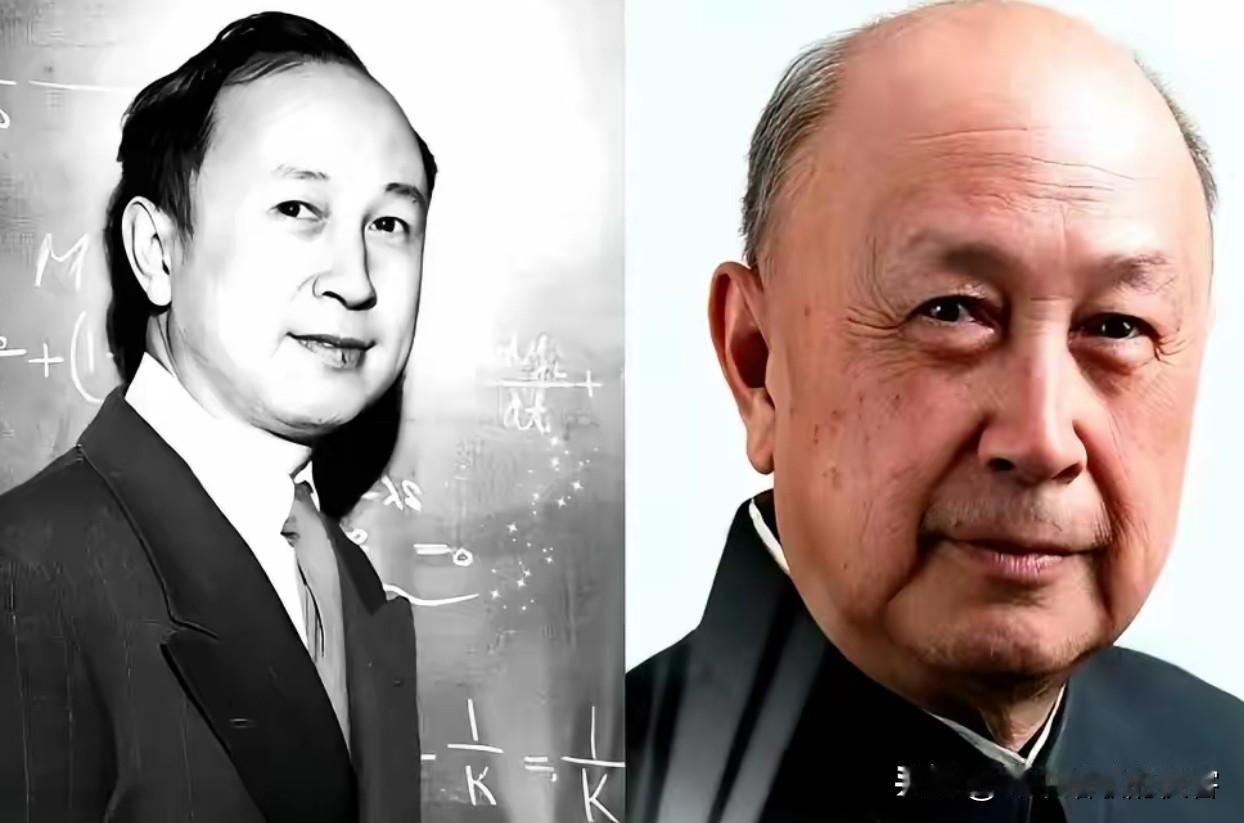 别再给孩子留房留车了！央视这部《太平年》扒出一个千年秘密：中国第一望族，靠的不是