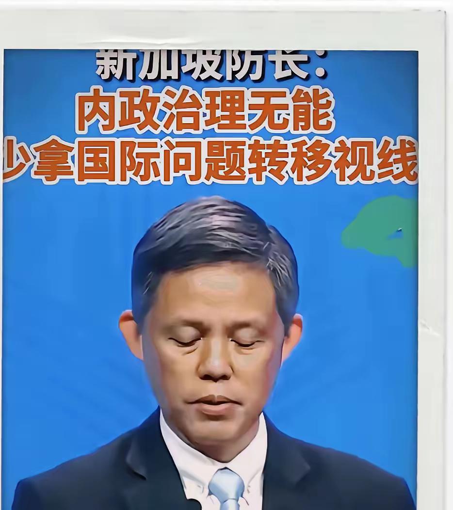 香会现场，新加坡防长直言：甩锅他国，修补不了本国的烂摊子。部分国家内部乱象丛