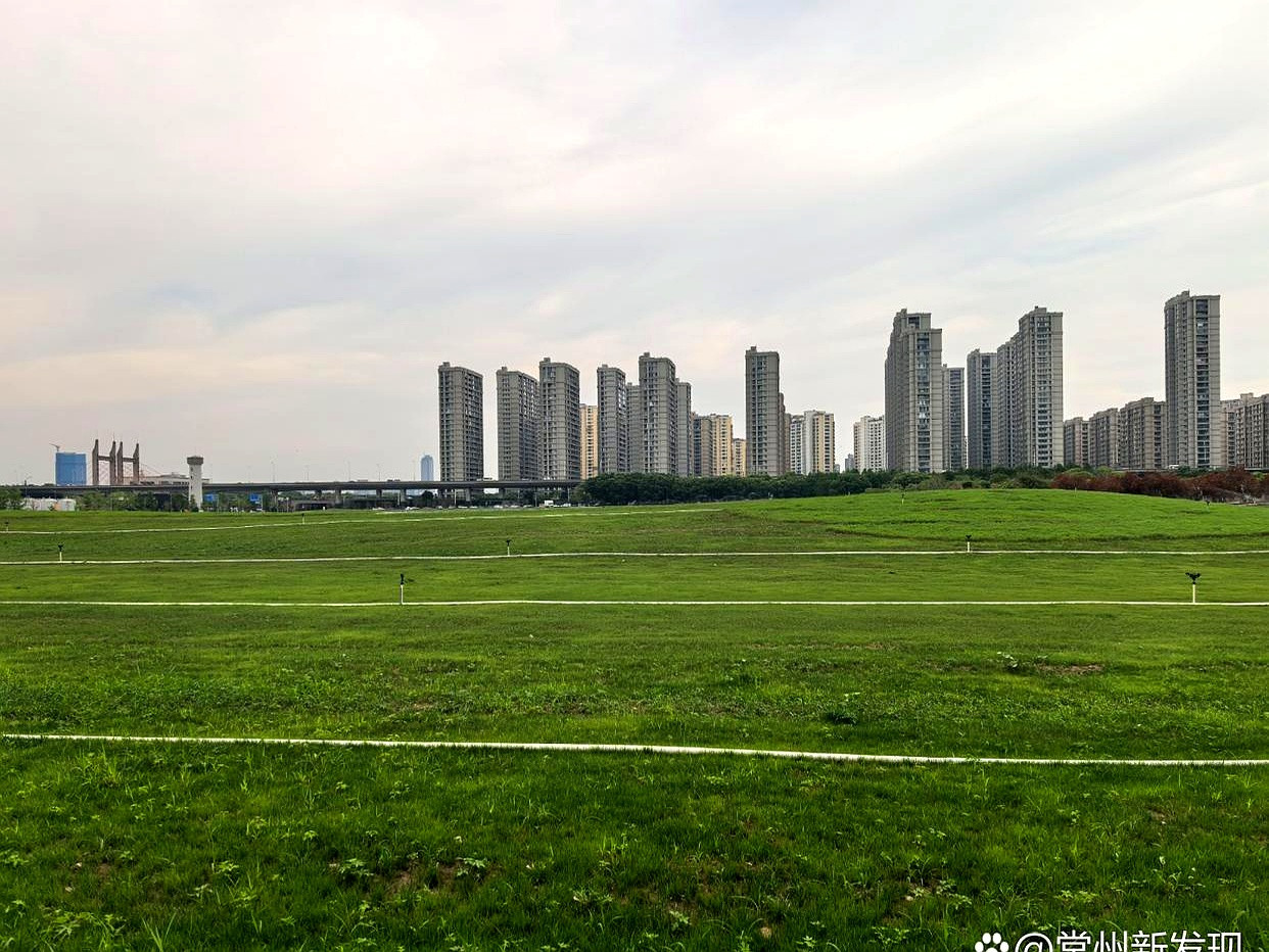 常州这地方，弄了个“大草原”。十万平方米，以前是油罐公园边的空地。现在好了，生态