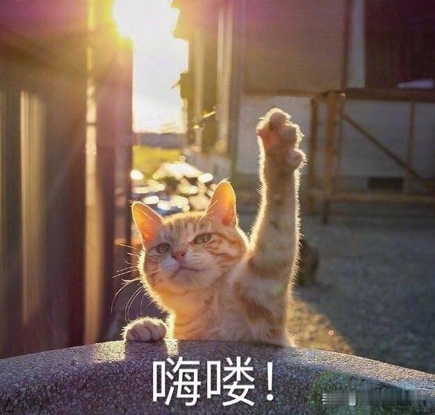 陌生场合，12星座谁会先打破沉默？撑不过30秒：白羊、双子、狮子、射手