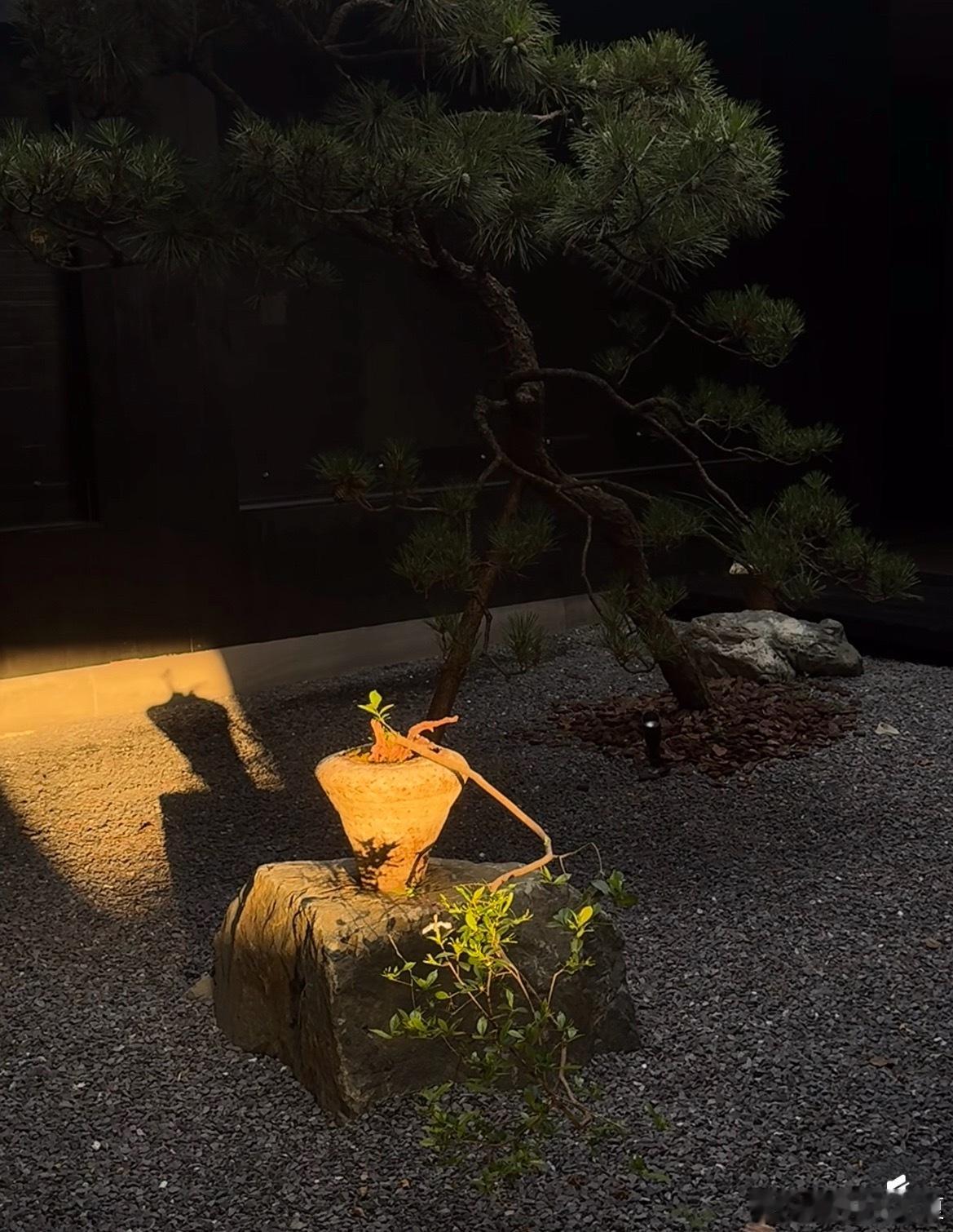 -“命运托举你的方式有时很意外，换句话说你根本不会错过注定属于你的东西”