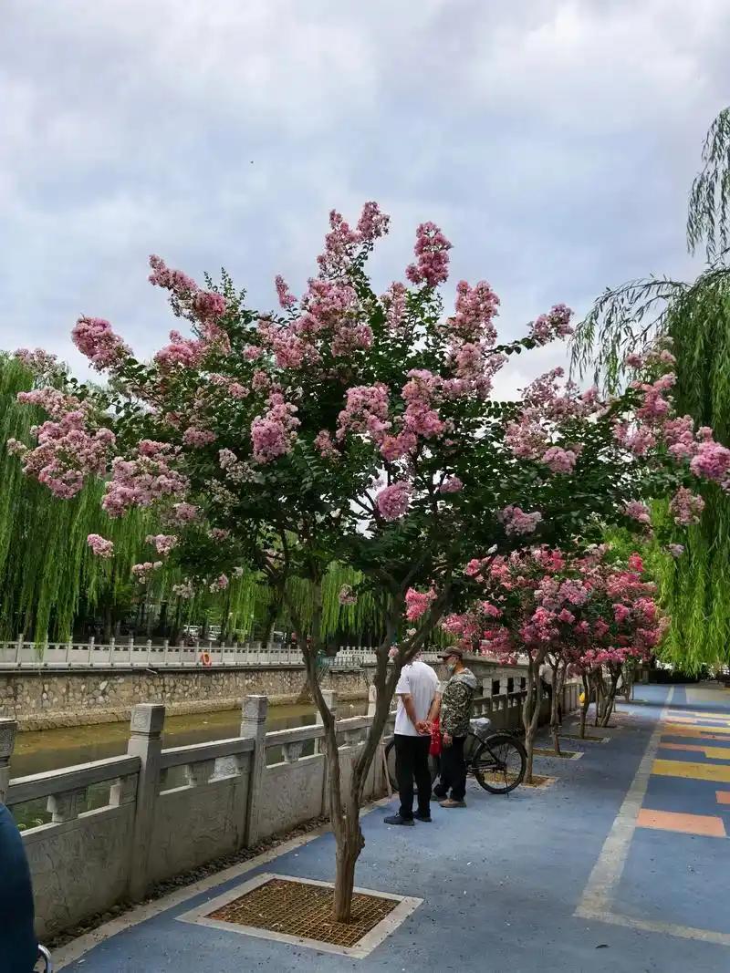 说句扎心的话，别再劝那些体制内退休的老人去合群了。前阵子回老家，在单位大院里