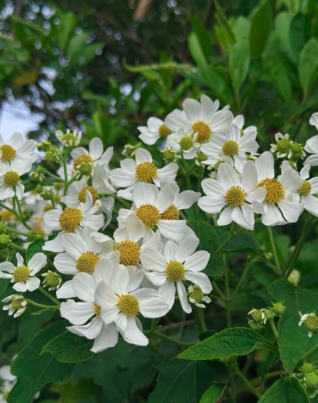 医生才会告诉你的3个健康真相听完，你会明白：第3个，可能救你一命。1、第一个真相