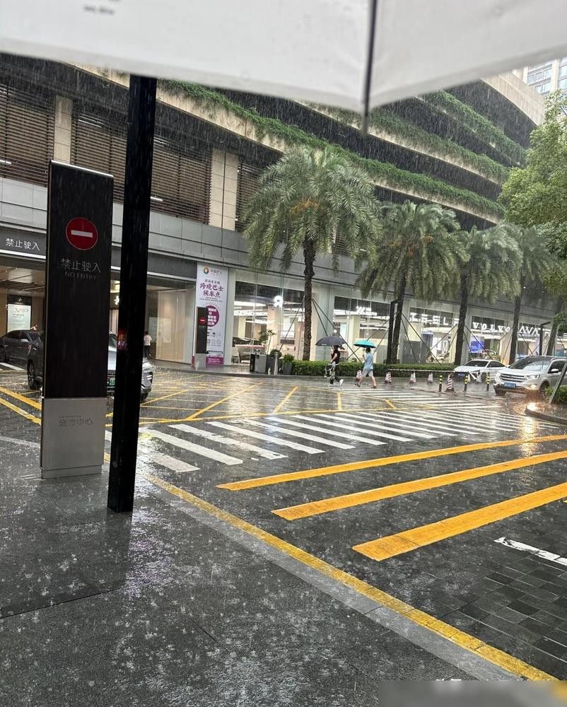为什么一下雨就打不到网约车？我在深圳待了快十年，这情况真的碰见过好多次，之前