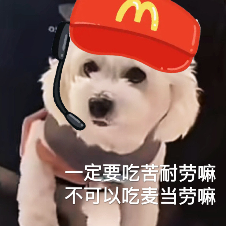 猫宁！这几天秘书回家休息啦，在等志伟传照片呢评论报数按时间顺序第28