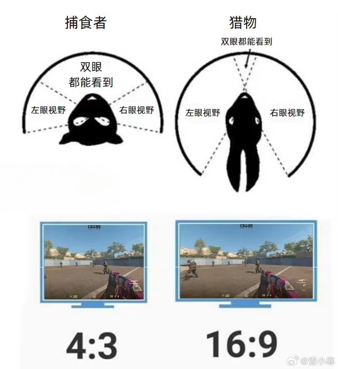 双眼视觉是立体的，能判断距离​​​