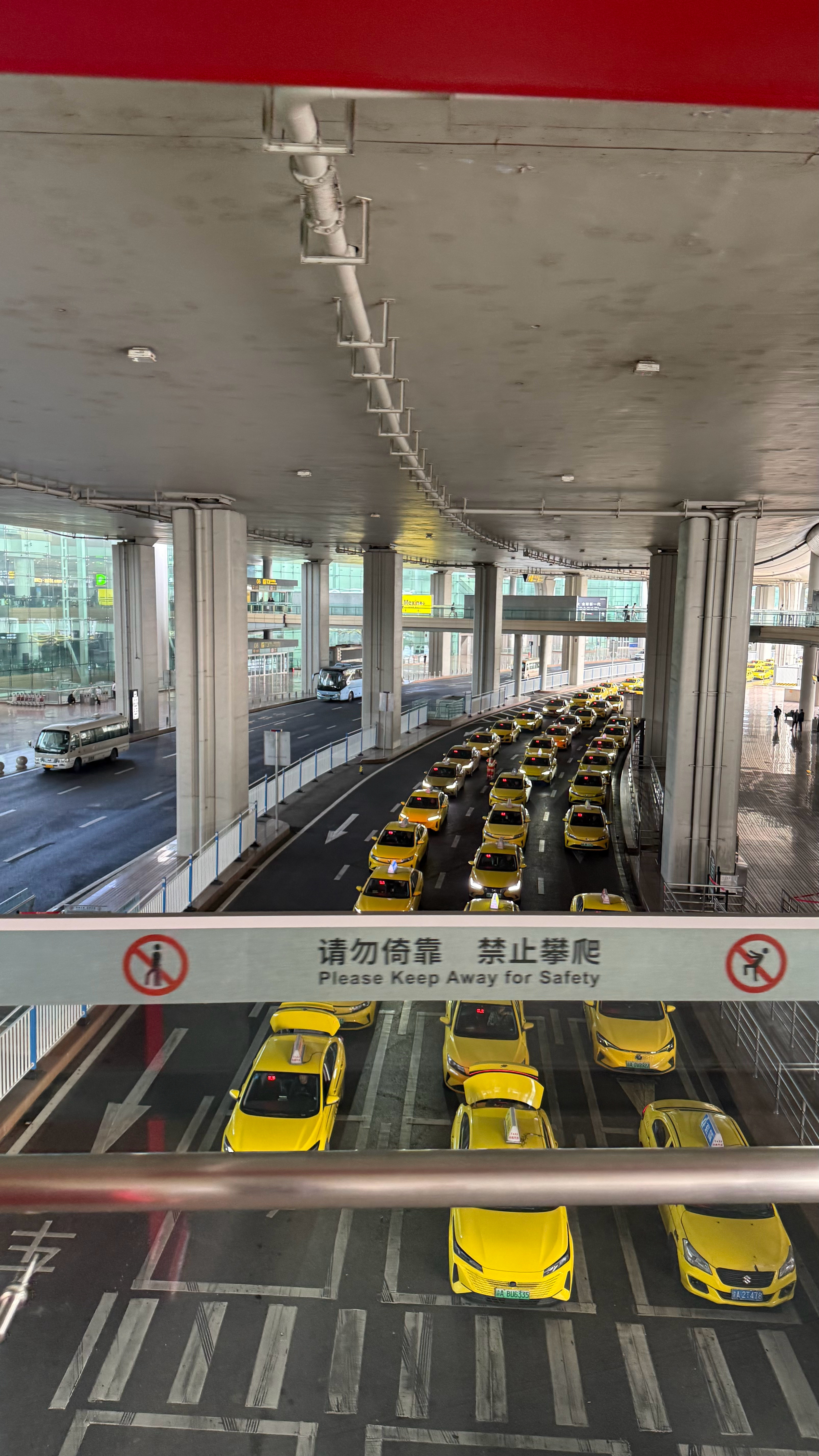 老传统，回重庆了