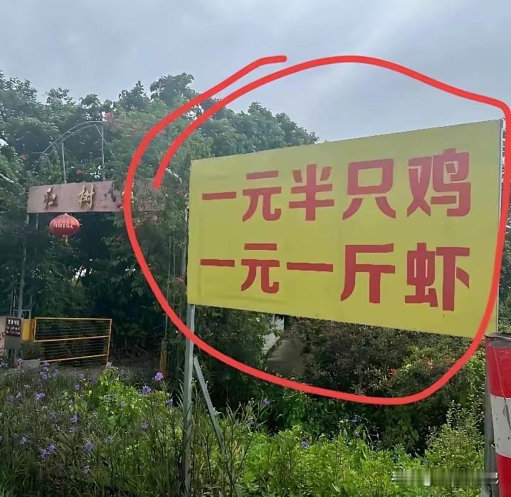 这么便宜，老板不会亏啊