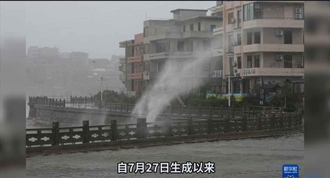 奔袭超五千公里，台风“白海豚”为何能打破纪录登陆浙江？今年第13号台风“白海豚