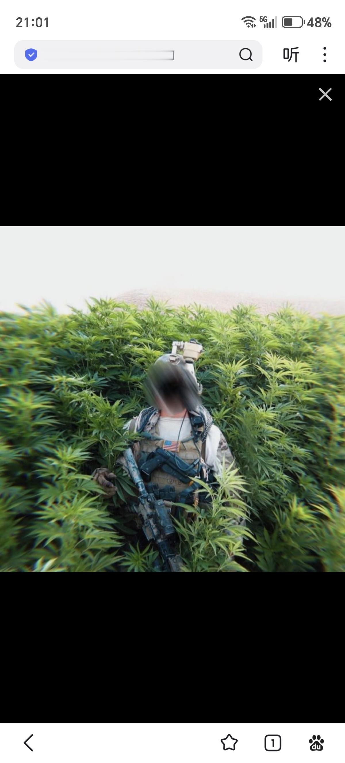 一名美军士兵回忆在阿富汗的经历：涨知识他们发现了一片大麻田。但没有塔利班守卫