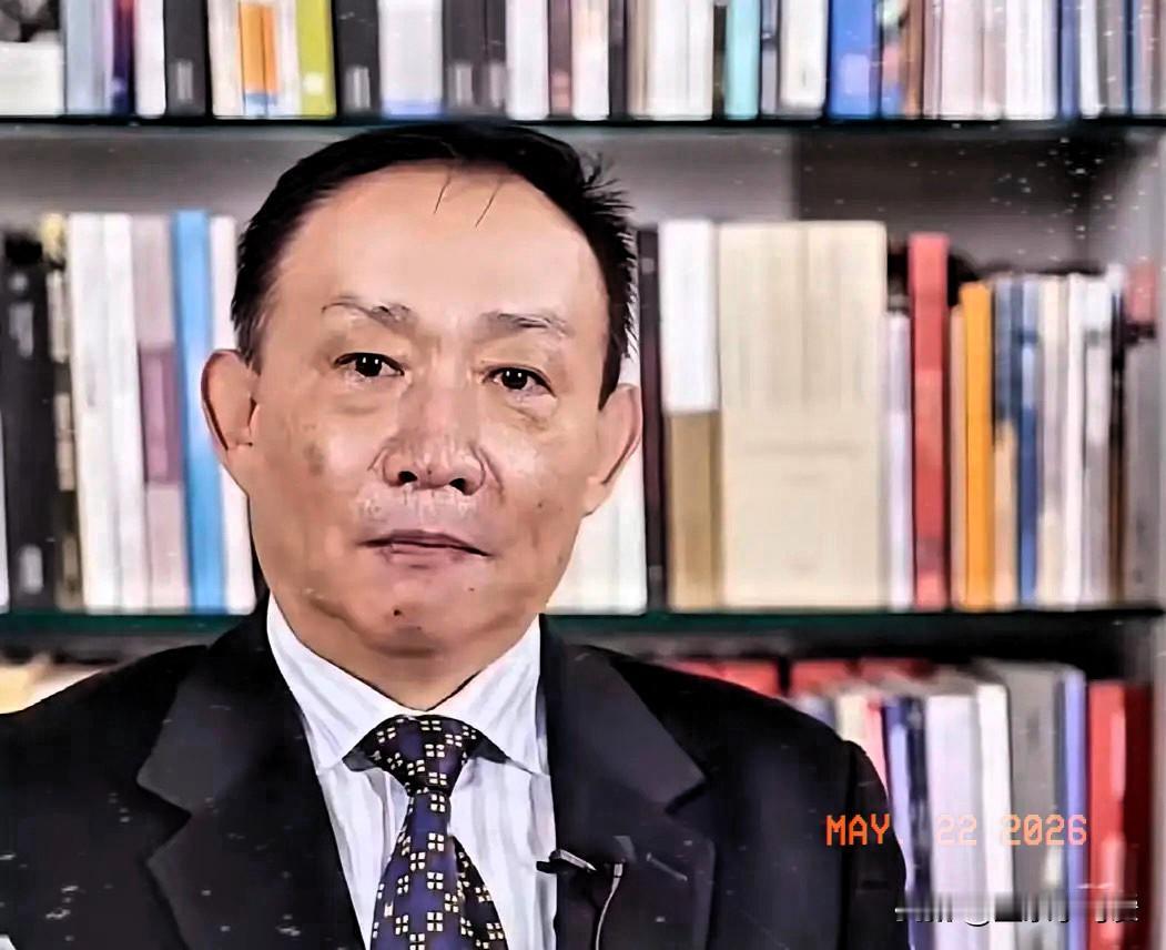 卢麒元说：有人喜欢“卖资产”，却不敢明目张胆地“卖资产”，只好打着“高水平开放”