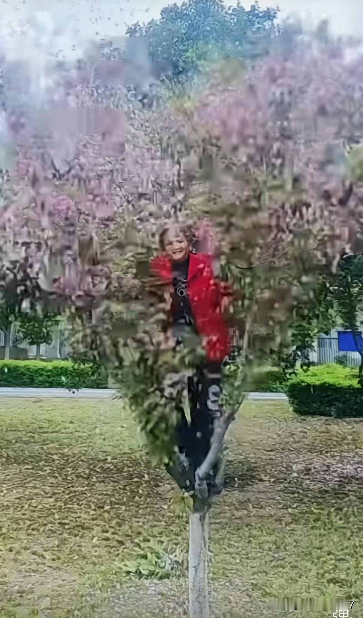 呀呀呀！这是啥情况？是黛玉葬花，还是老太发疯？公园里，出现了极其恶心的一幕。一