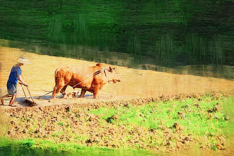 春日生活打卡季春日的美好总是让人忍不住打卡记录。清明小长假刚过，就迎来了农历二