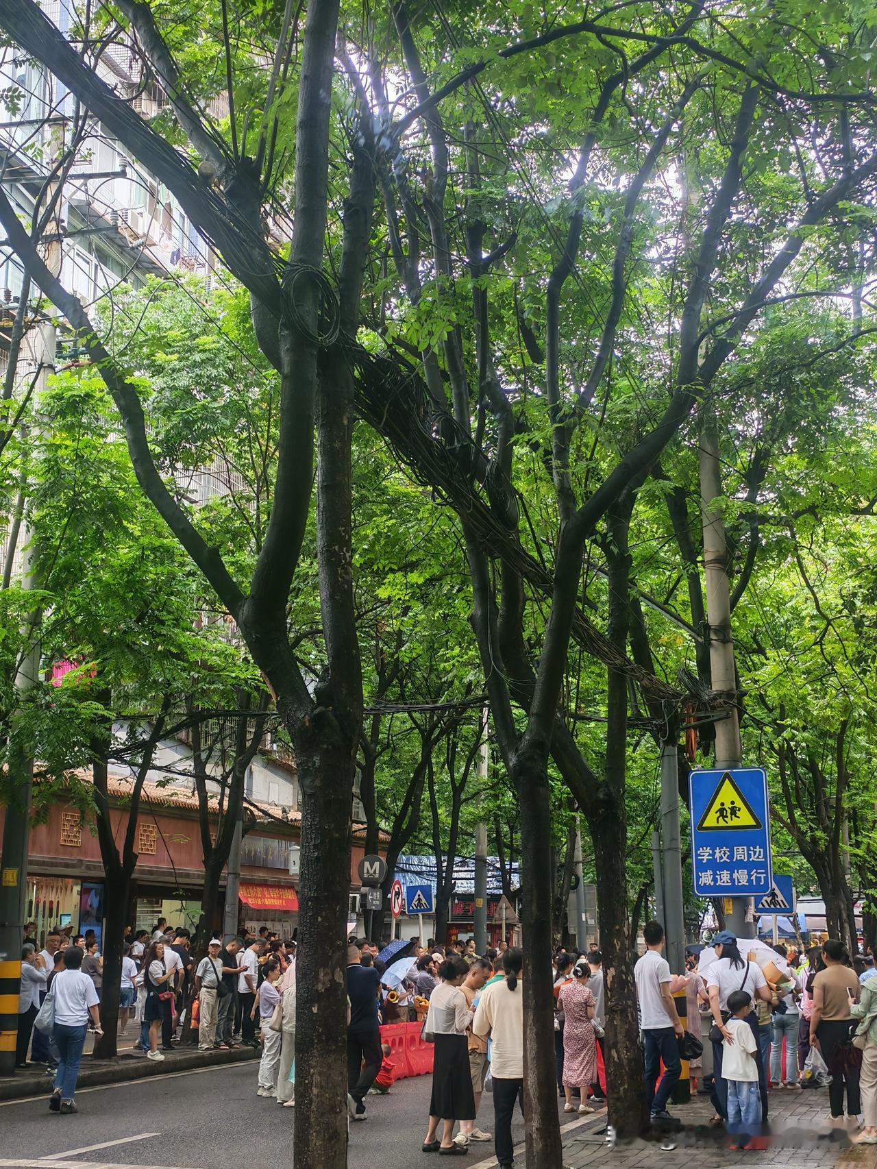 11:00，中考最后一科的收卷铃响起，考场外的家长齐刷刷松了口气。可还没等孩