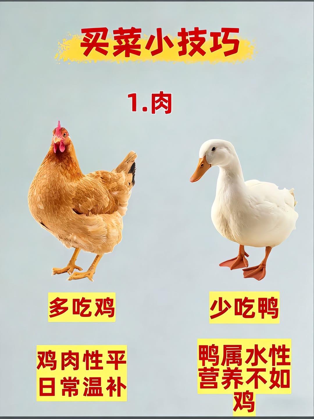 分享超实用买菜挑选小妙招，从肉蛋到蔬果调料，教你挑出新鲜好食材，每一样都选到心坎