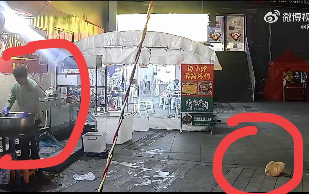 贵阳烤鱼老板好心喂养流浪猫，意外救了自己一命，真是神奇。每天打烊了，老板都会拿一