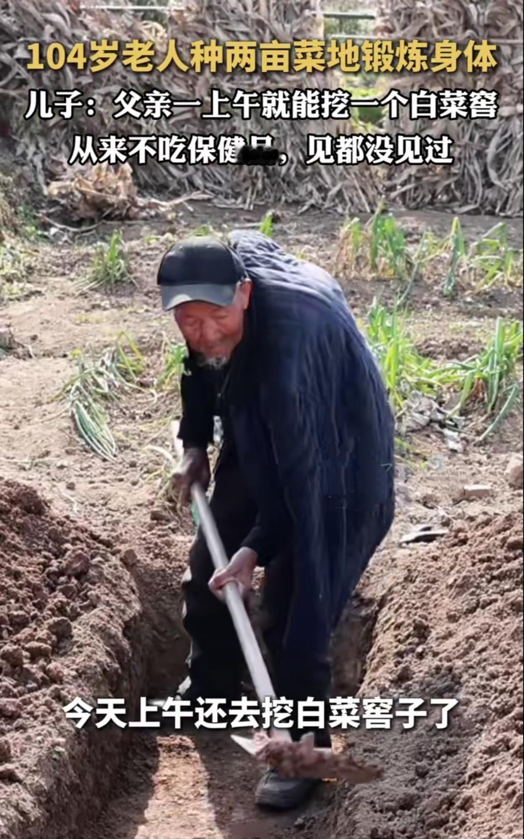 你敢信？104岁的老人居然不用人伺候，还能自己扛着锄头下地种菜！老人动作利索，精