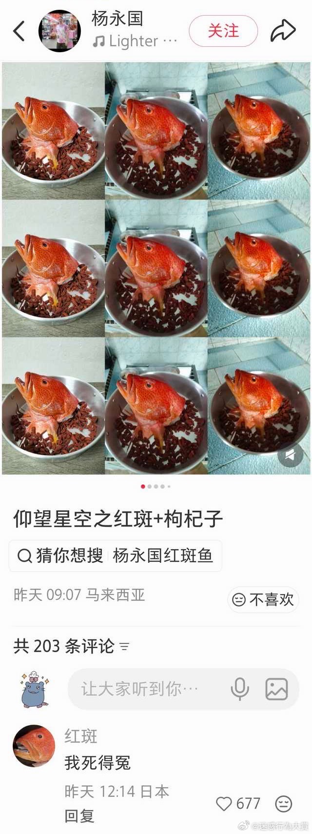 你放过它们吧杨永国​​​