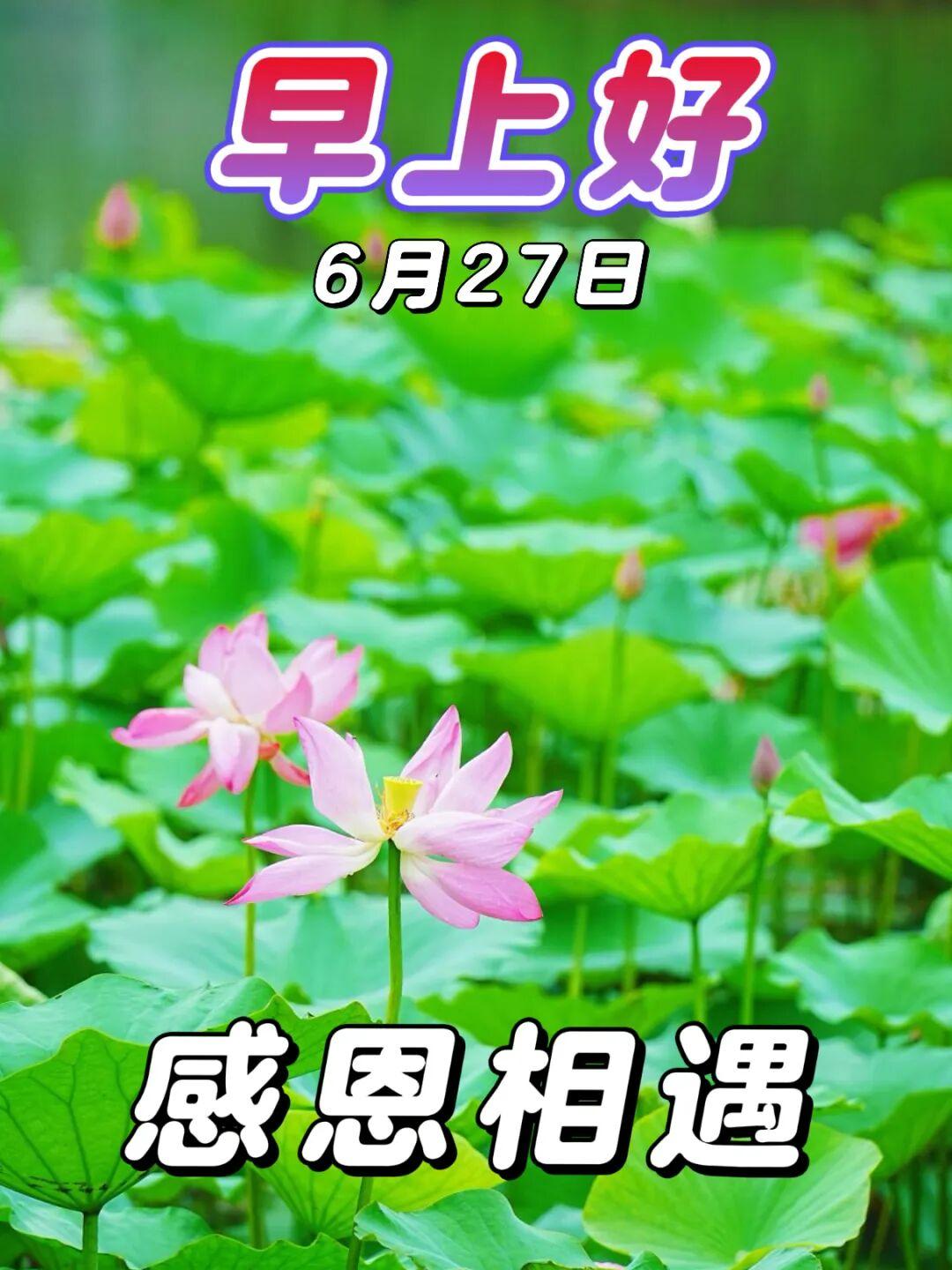 🍀🌷周末清晨的阳光带有一丝慵懒的暖意，早晨的问候里充满了真诚，希望清闲的时候
