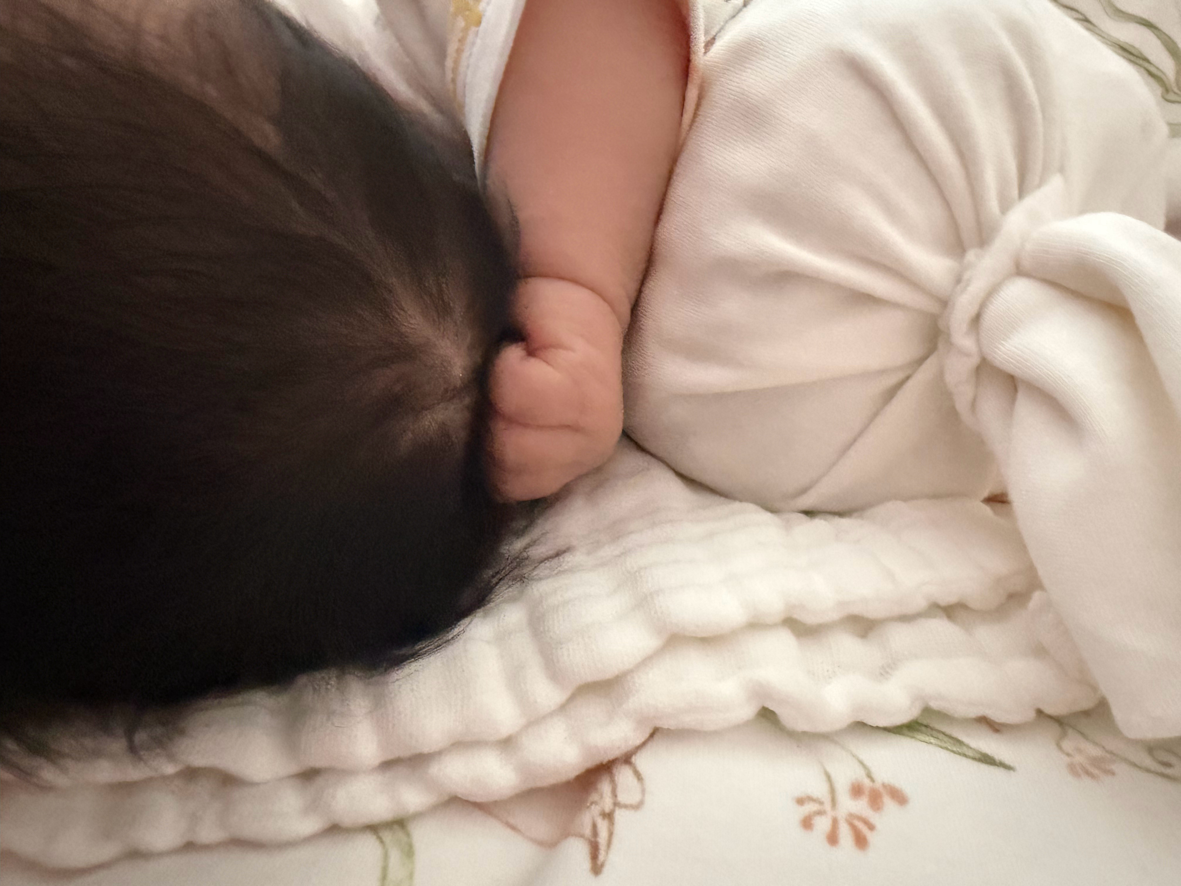 记录小牙犯罪现场老婆：快点，你姑娘自己揪自己头发哇哇哭。我：等会儿啊，我拿手机拍