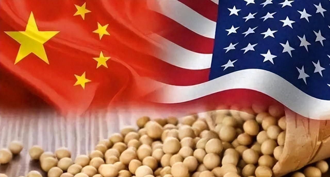 中美大豆协议背后，美国放水救农，中国买的究竟是什么？最近听说中国要买1200万