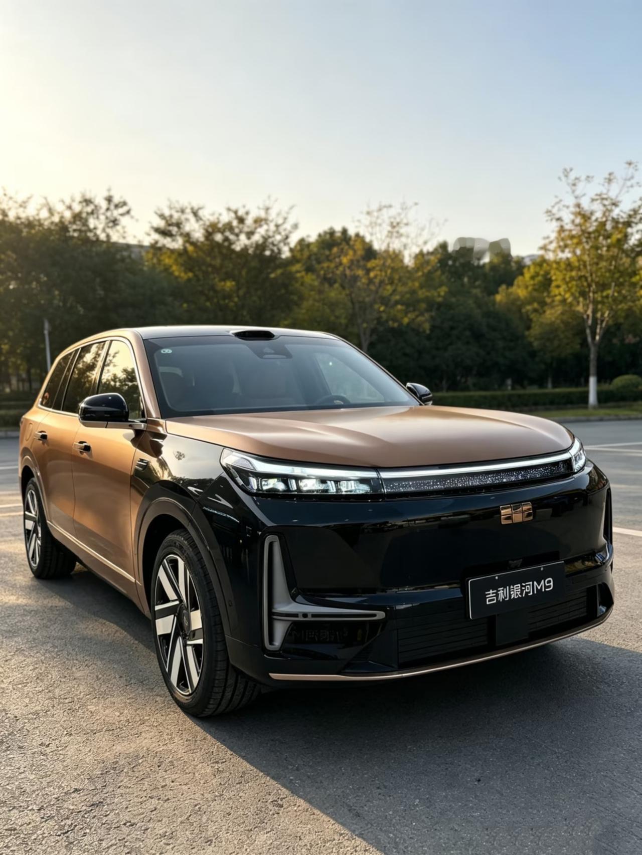 银河M9的“黑金智耀版”这么定价是想卖给谁啊，26.98万的价格就加上的这点东西