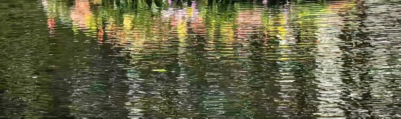 我觉得水瓶座一生活“自由”二字。在作息上，周末早上七点别人还在睡，他们已经完成