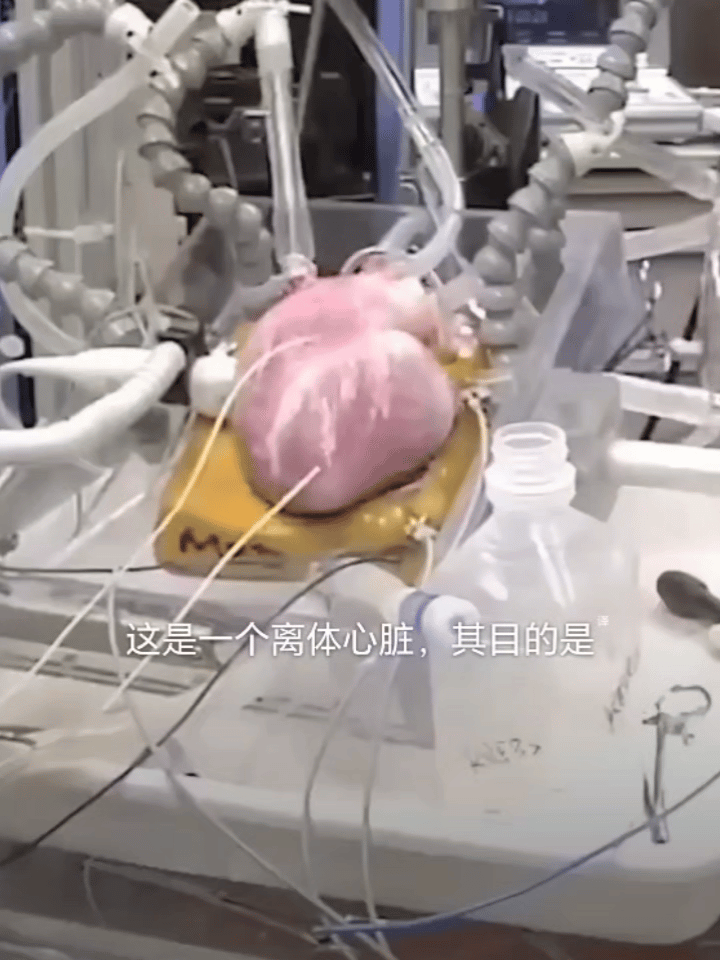 现在的科学真的就如此发达了吗？在明尼苏达大学的实验室里，这里的研究人员通过一种特