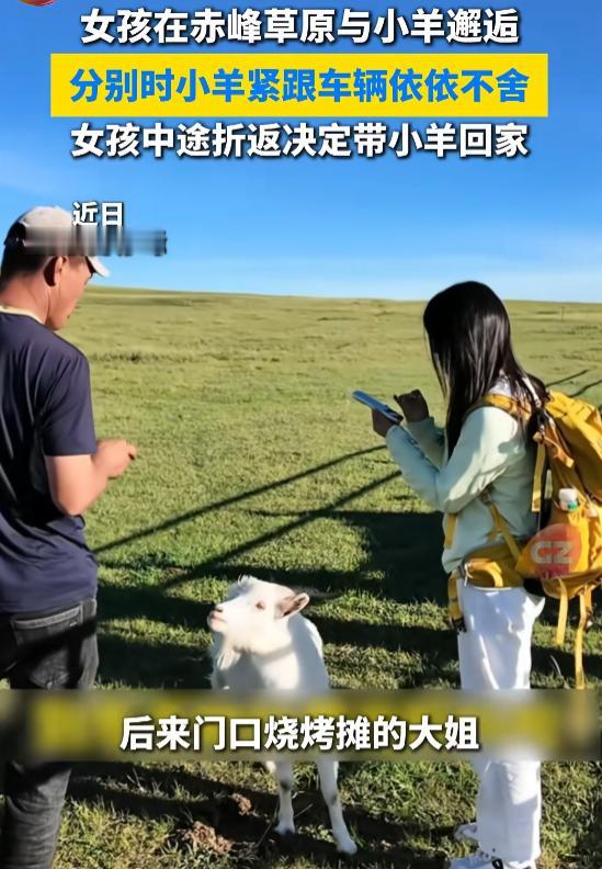 “缘分来了挡都挡不住！”7月22日报道，内蒙古赤峰，一女子拍照时，不知从哪儿跑出