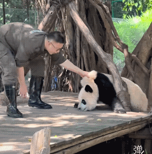 皮衣拽坏了，不知道吗?[捂脸哭][捂脸哭][捂脸哭]