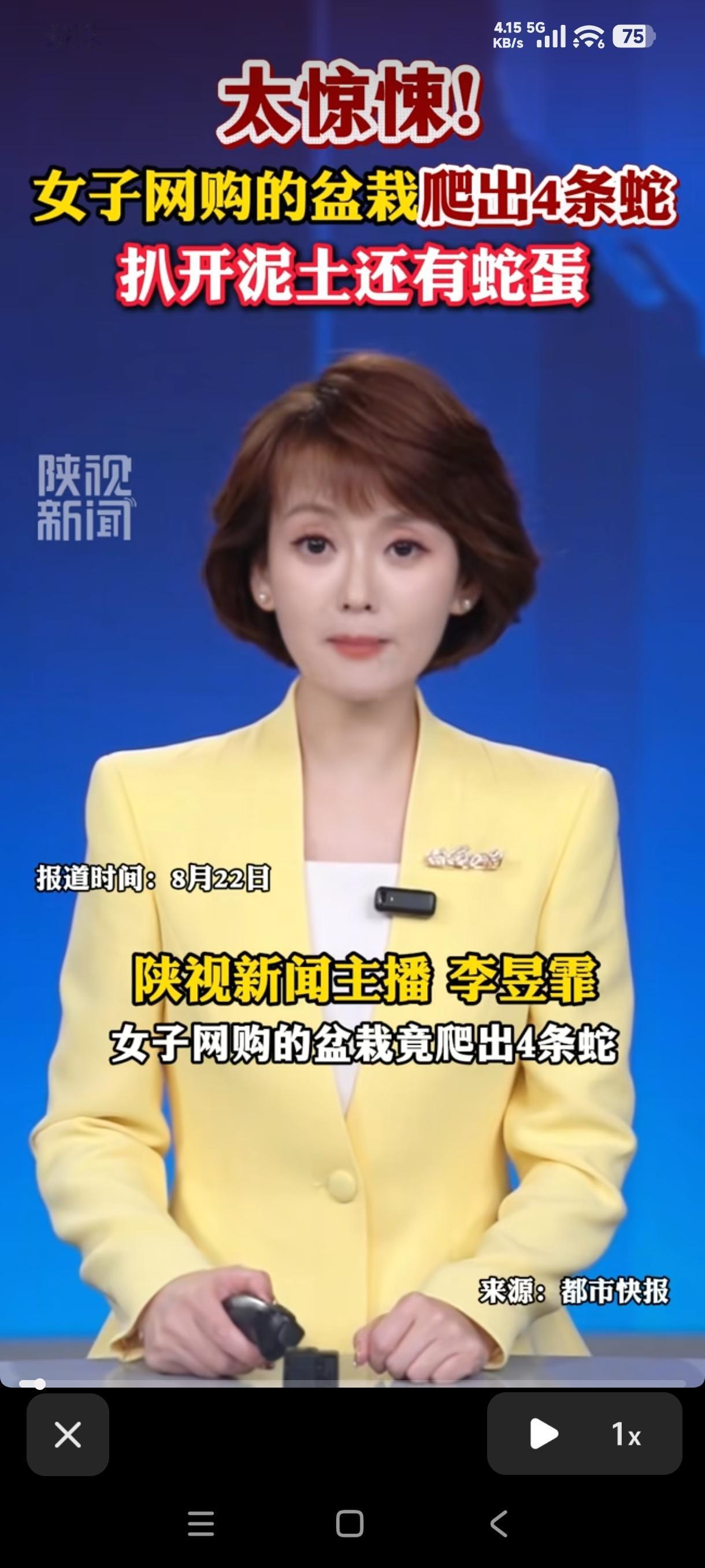“太吓人了！”北京通州，女子花59.8元网购了一盆“黑金钢橡皮树”，放在店里净化