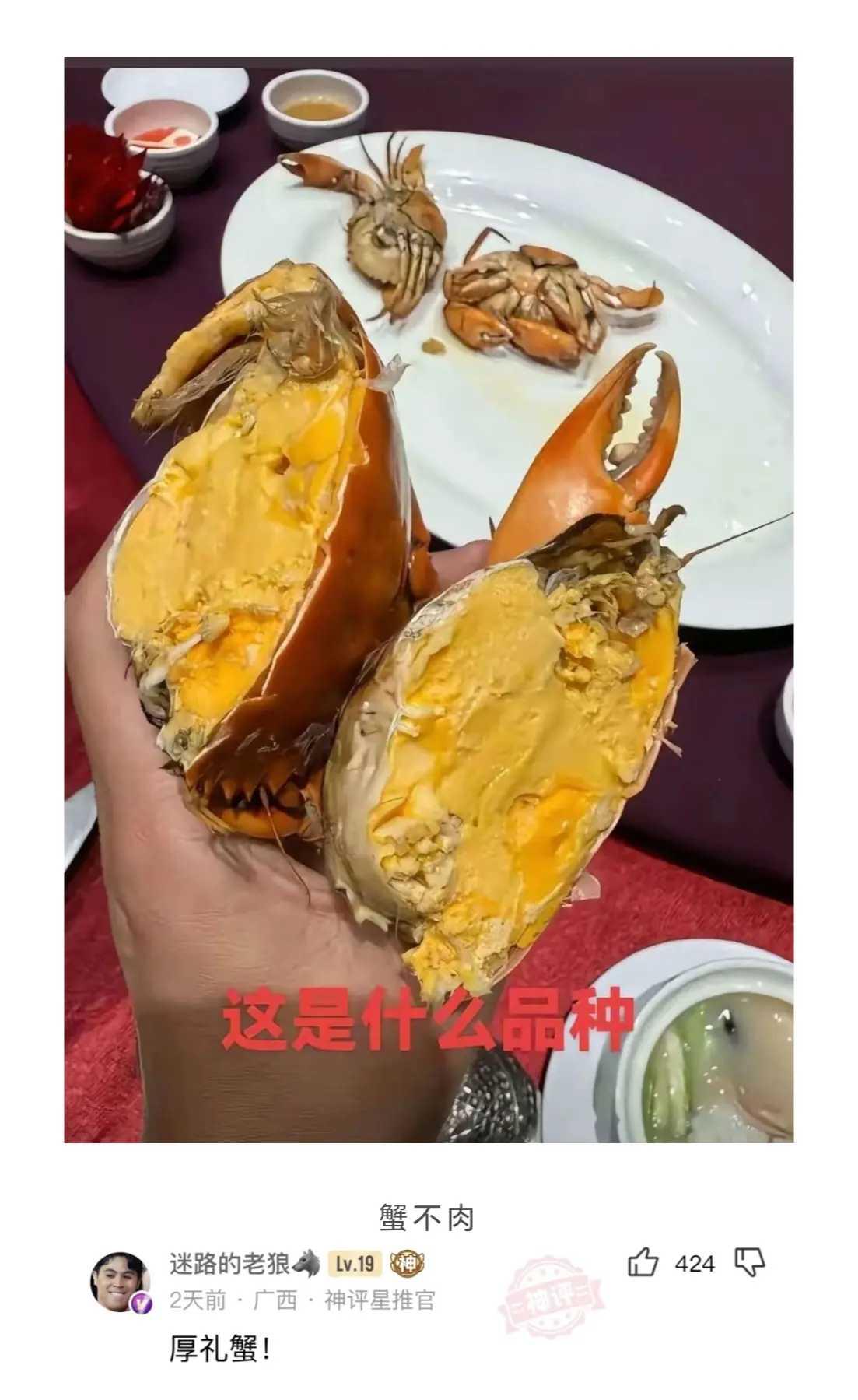 这是什么品种？