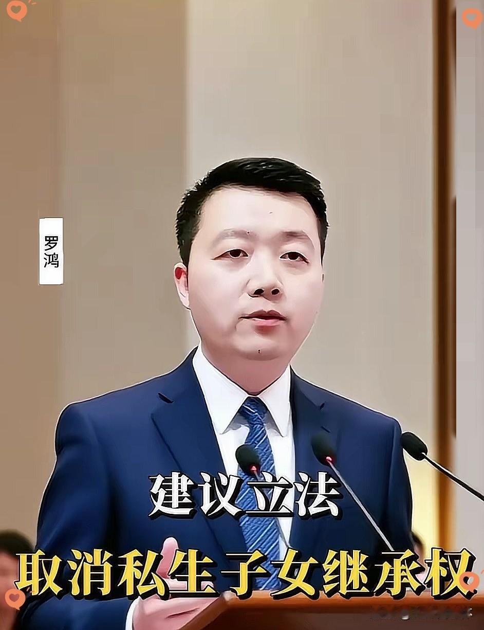 建议立法废除私生子女的继承权。罗鸿提出这一提案后，立刻在全网引发了激烈的争论。
