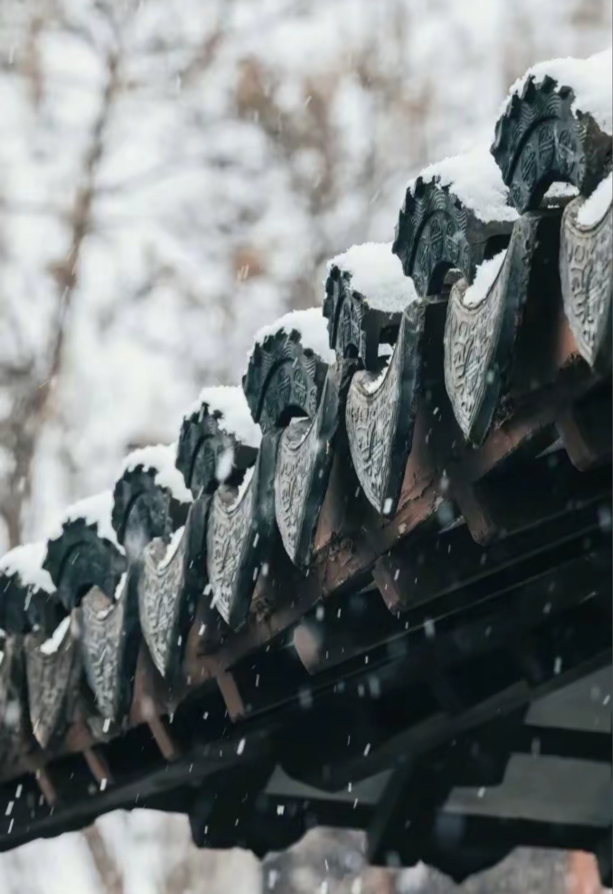 南京下雪真美！