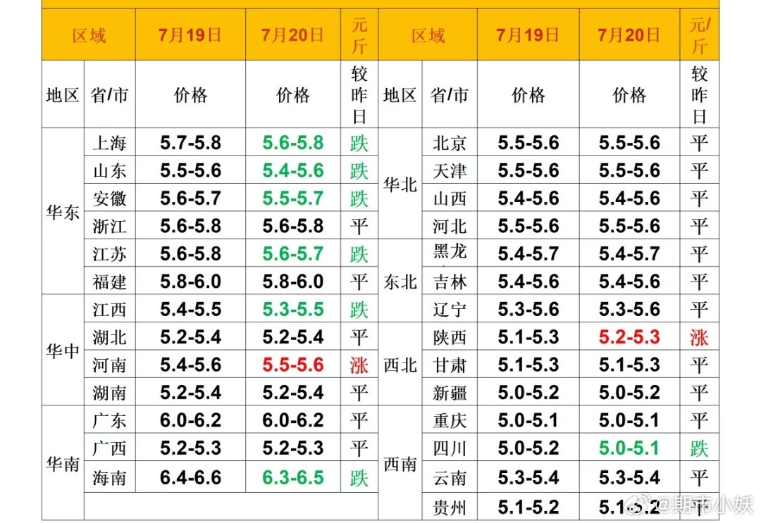 每日猪价
