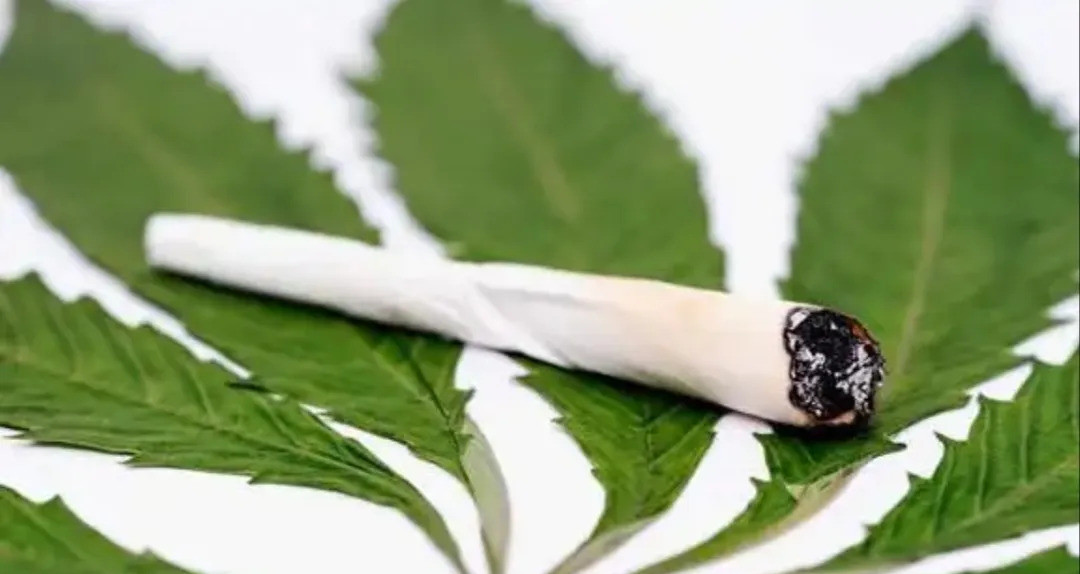泰国大麻合法化旅游遭遇滑铁卢泰国一心想靠大麻合法化吸引欧