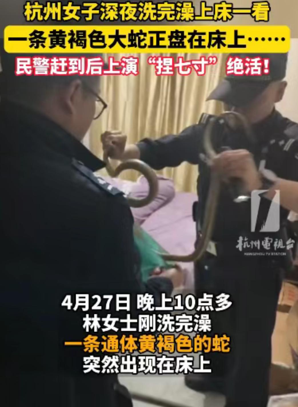 刚洗完澡就看见一条蛇盘在床上，这画面想想都头皮发麻。浙江的林女士那天就是这遭遇。