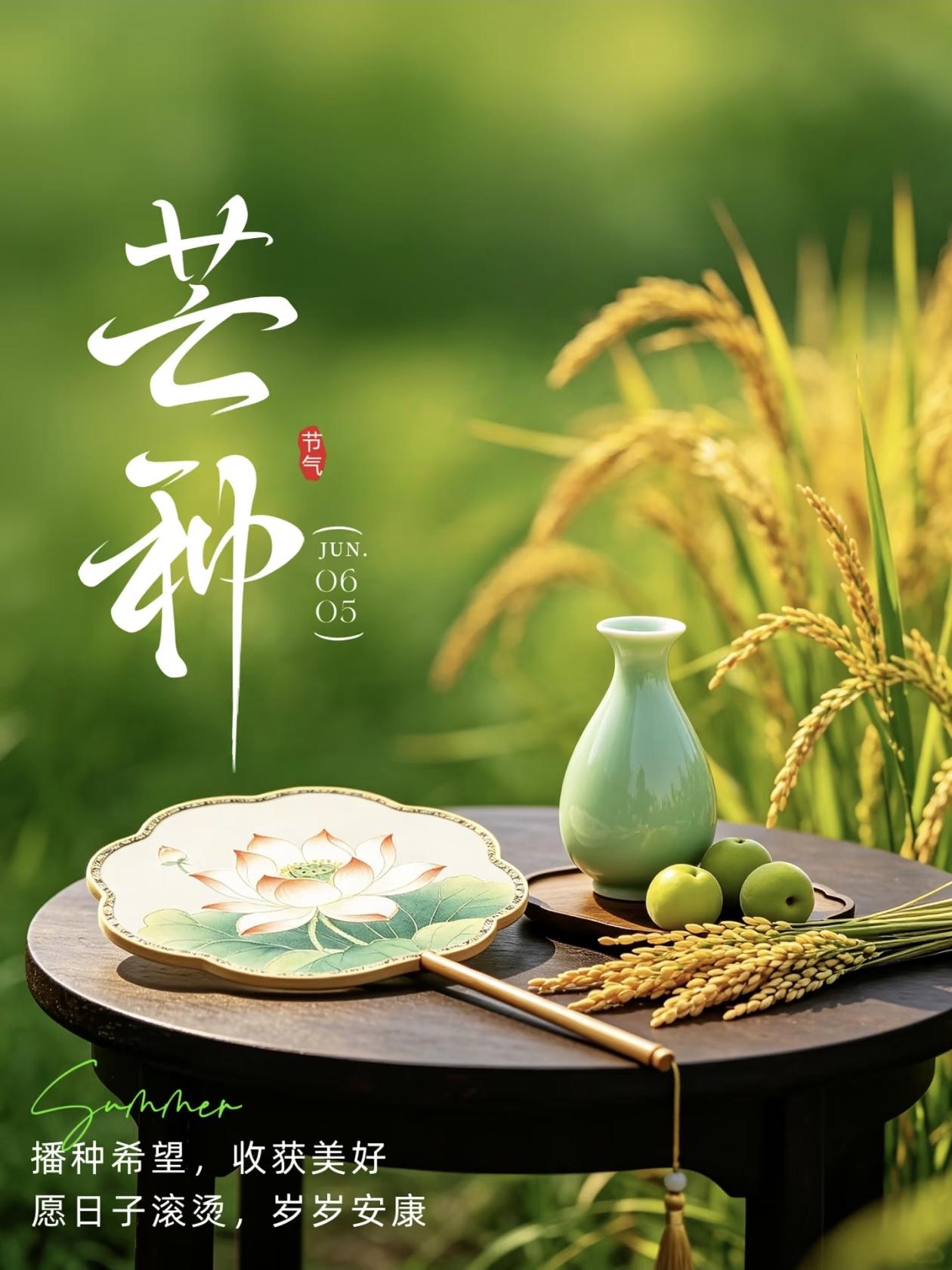 不是迷信！明日芒种，提醒大家：1要吃，2要睡，3要晒，4不穿明日我们将迎来