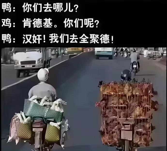 鸭子嘴真硬，至死不渝[呲牙笑]