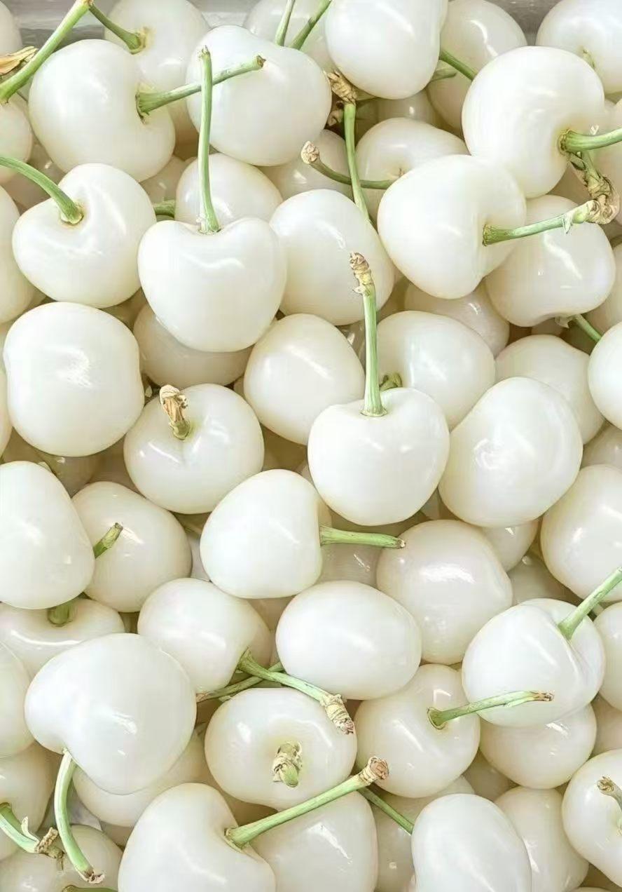 这真是樱桃吗？