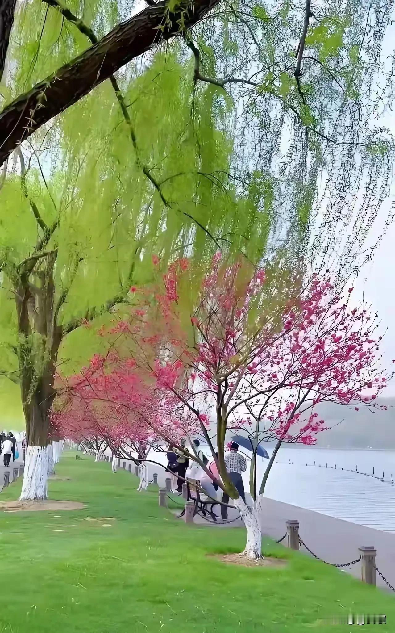 上联:欲滴菊花露下联:将舒柳叶风横批:天地清和