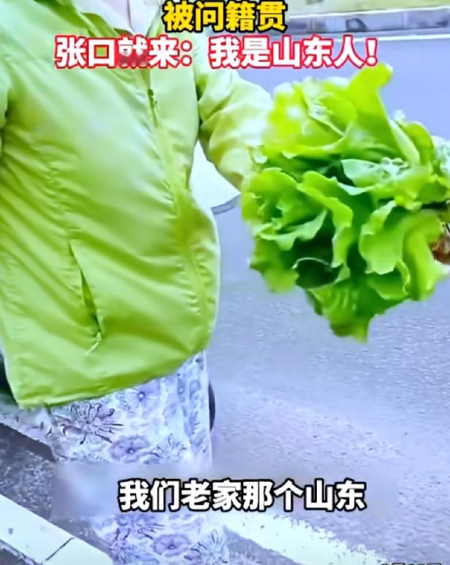 山东不背锅！两位大妈在海口偷拔别人的菜，张口就来：“我老家是山东的。”2月18日