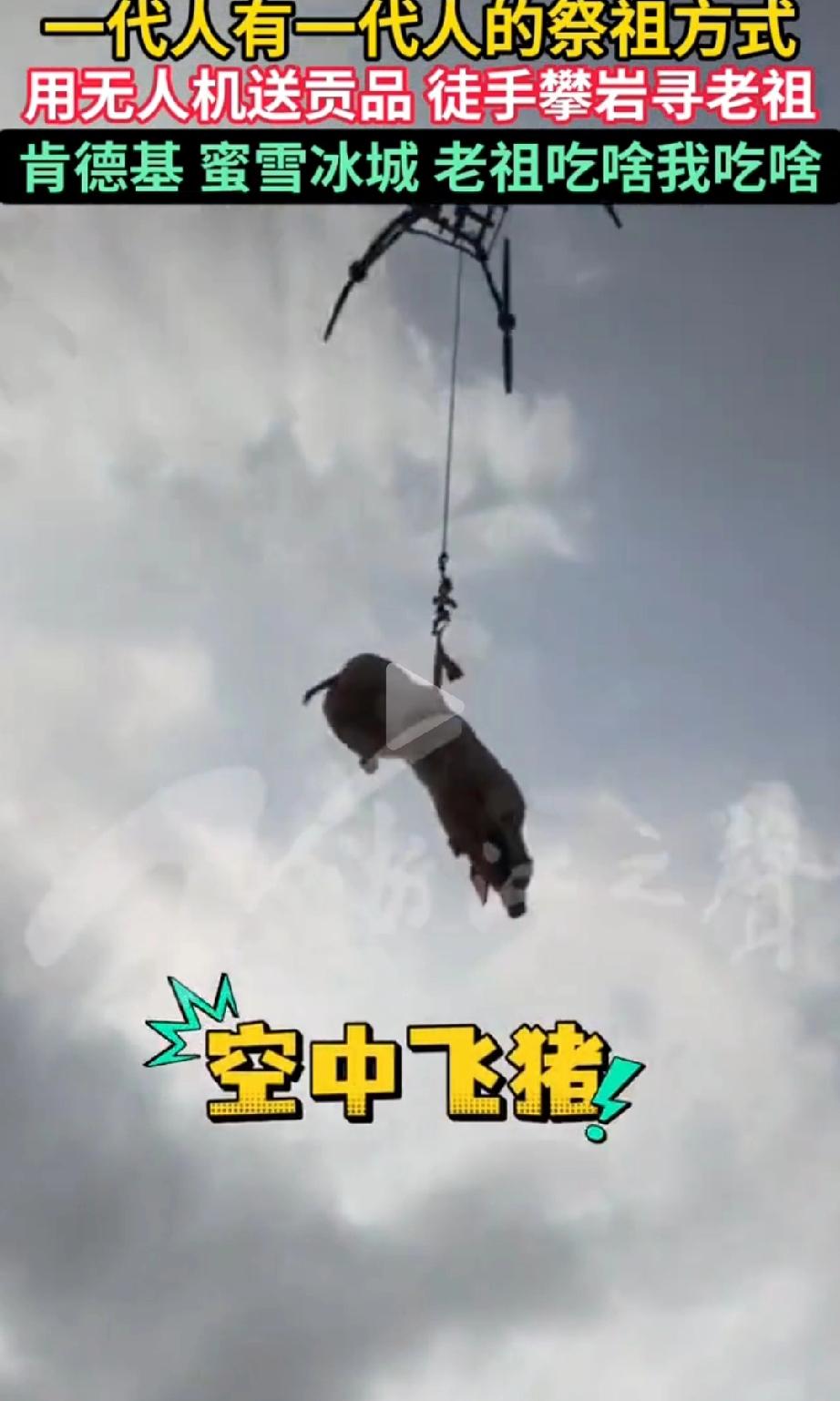 活久见！广东梅州，周先生因上山祭祖的路难走、家里缺年轻劳力，而祭品都是整猪整羊，